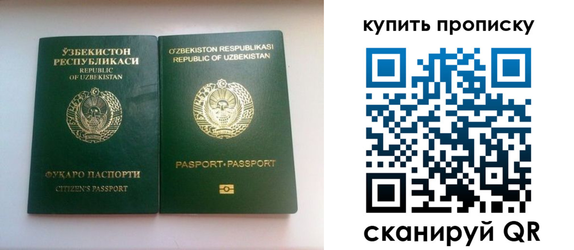 прописка в квартире в Котельниче